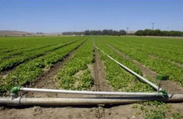Rigid PVC pipe used for field irrigation